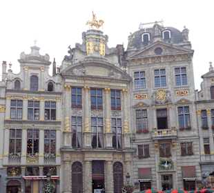 Zunfthäuser neben dem Maison de Roi