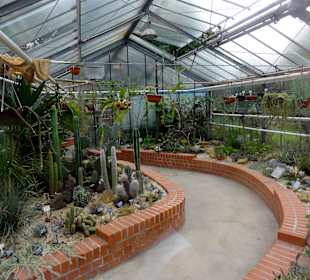 Das Sukkulentenhaus im Botanischen Garten