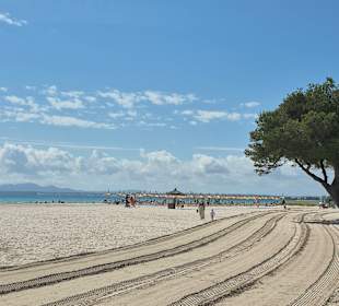Strand