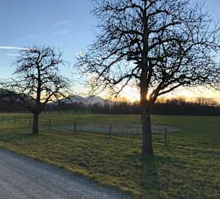 Spaziergang auf der Insel
