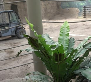 Zoo Heidelberg