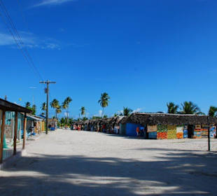 Saona Tour