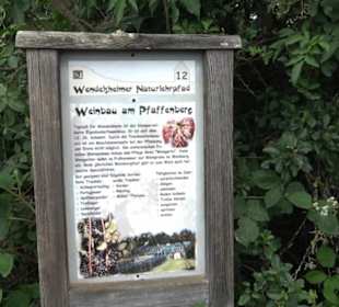 Wanderweg - Alter Steinbruch Pfaffenberg Runde