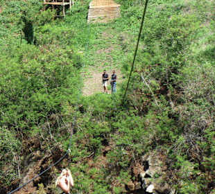 Ziplining
