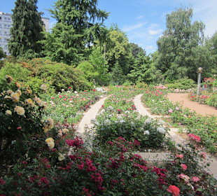 Rosengarten Zweibrücken