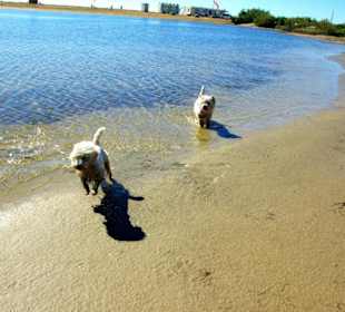 Ende September 2010 Inspirationen