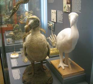 Naturkundemuseum