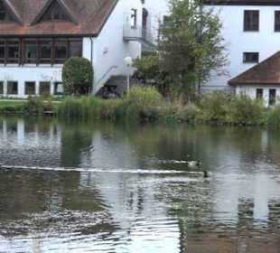 Grabenweiher