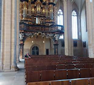 St. Severi Orgel