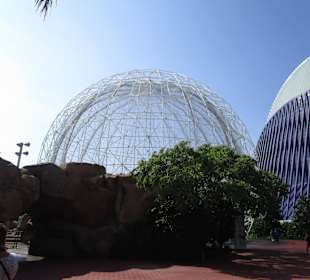 Aquarium / Oceanongrafic