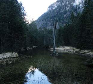 Kunst im Falkenseebach