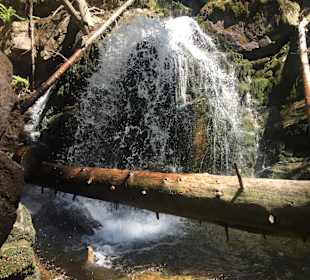 Rieslochfälle- Arber Wanderung