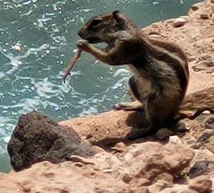Wandern Playa de Esquinzo