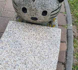 Steinbock mit Kitty Katze