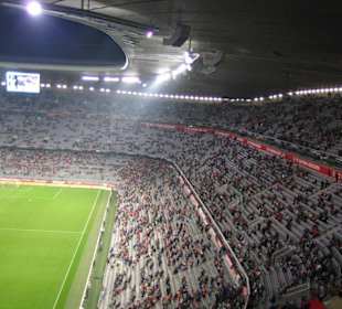 Allianz Arena DFB Pokal 2007/08