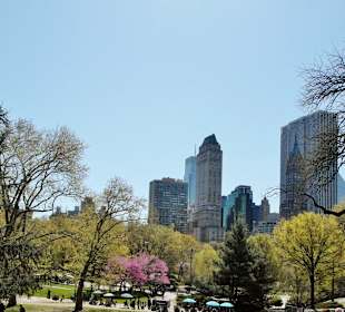 Frühling im Central Park