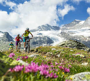 Sport im Sommer, Biken im Hostel by Randolins