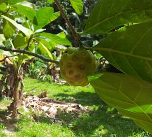 Ausflug mit Mario von Edelweiss Tours