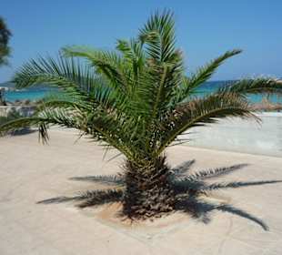 Strandpromenade
