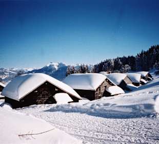 Hausberg Bödele im Winter