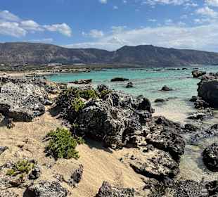 Pink Sand Beach Elafonissi