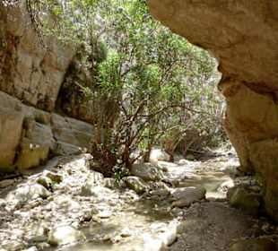 Dann steigert es sich langsam