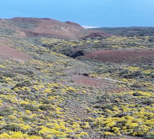 Teide Nationalpark