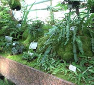 Gewächshäuser Botanischer Garten