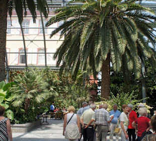 Kawiarnia pod palmami