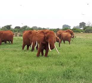 Wunderschön anzuschauen