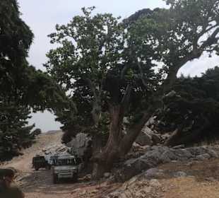 Unsere Tour mit 3 Jeeps
