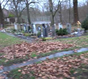 Friedhof Mittelstadt