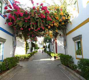 Und noch mehr Blüten