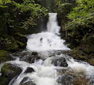 Dickson Fall