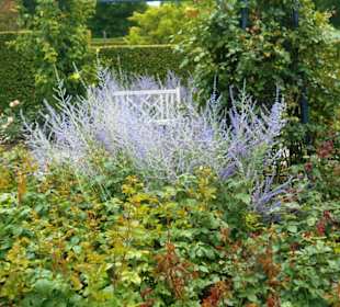 Schloßpark Kasteeltuinen