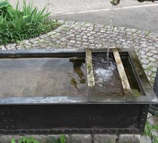 Historischer Dorfbrunnen Oberwaldachtal