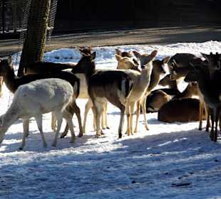 ImpressionOstern2013