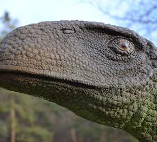 Atrakcje turystyczne w Bałtowie