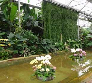 Raffeiner Orchideenwelt