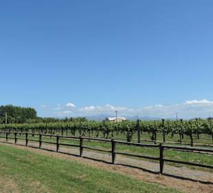 Wunderschöne Natur im Raum Blenheim