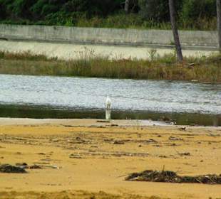 Ende September 2010 Inspirationen