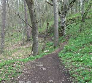 Wanderung rund um das Rusenschloss Gerhausen