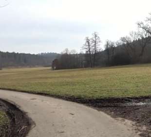 Rundwanderung durch den Rauhen Rammert Hemmendorf