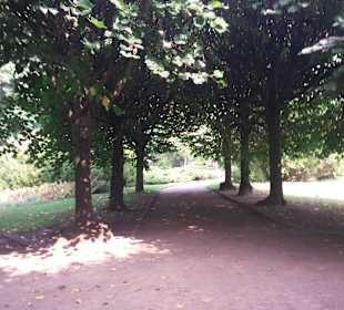 Palmiarnia Park Oliwski