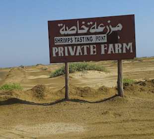 Verlassene Shrimpsfarm