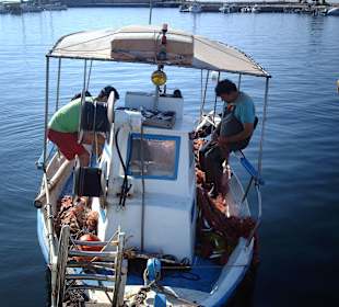 Der Fischfang wird sortiert