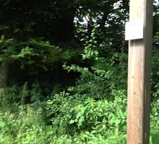 Premiumwanderweg "hochgehackert"