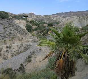 Tabernas
