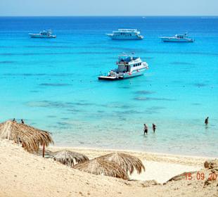 Viele Schattierungen