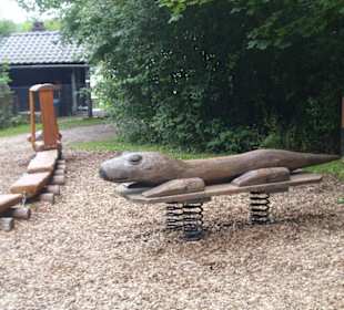 Bergwaldpfad